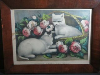 Antique Currier & Ives Litho.  Print Kitties Among The Roses