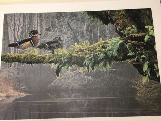 Rod Frederick,  " Out On A Limb " Signed Limited Edition Print