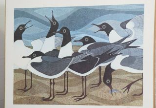 Nags Head Art Print Lla Smith 1986 Birds On The Beach Outer Banks Seagulls Rare