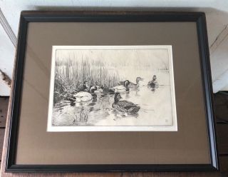 Winifred Austen Framed,  Pencil Signed Sporting Art Ducks Etching - The Decoy Pool