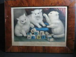 Antique Currier & Ives Litho.  Print My Little White Kitties Learning Their Abc
