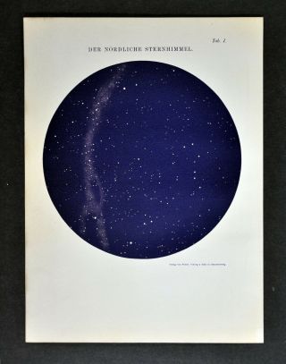 1894 Muller Map North Sky Star Chart Polaris Constellations Milky Way Cosmos