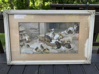 Victorian Chromolithograph Print Depicting Cats Dogs Chickens Drinking Farm