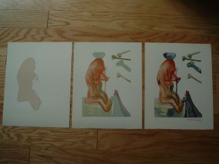 Salvador Dali - 3 Woodblock Prints - Divine Comedy Hell 18 - One Signed