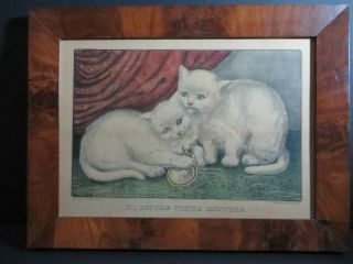 Antique Currier & Ives.  Print My Little White Kitties (playing With Miniature) 2