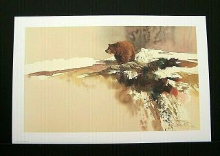 Morten Solberg Limited Edition Signed Print " Brown Bear "
