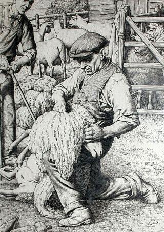 S p R i n G s A L e British Engraving STANLEY ANDERSON ' Sheepshearing ' 7.  5 