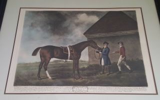 " Eclipse " Horse Framed Matted Print George Stubbs Large Mezzotint England