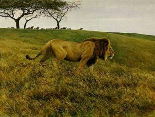 Robert Bateman Lion & Wildebeest Limited Edition Print