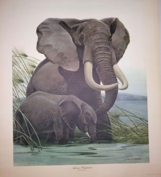 John A.  Ruthven African Elephants Double Signed Limited Edition 2409/5000 Print