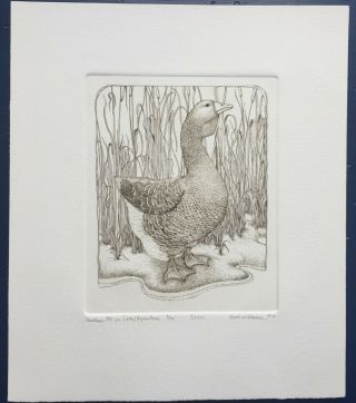 Susan Hunt - Wulkowicz Etching - Goose,  1981 Limited Edition Print (8/50)