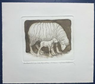 Susan Hunt - Wulkowicz Etching - Sheep (ewe And Lamb) 1970
