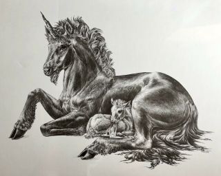 Vtg 80s Nos Xl Unicorn W/ Baby Art Print M.  Pena Realism Fantasy Etching