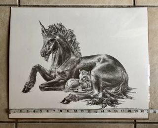 VTG 80s NOS XL Unicorn w/ Baby Art Print M.  PENA Realism Fantasy Etching 4