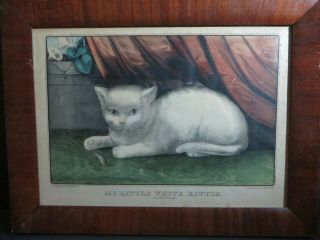 Antique Currier & Ives Litho.  Print My Little White Kitties Its First Mouse 871