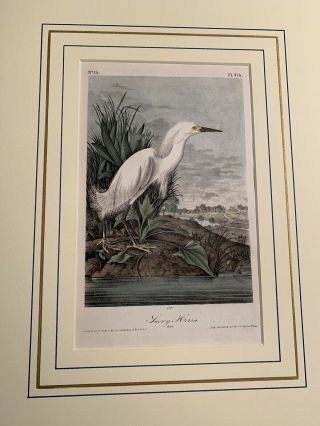 Audubon 1st Ed.  Octavo SNOWY HERON Plate 374 2