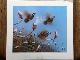 Owen J.  Gromme Trio Of Bob White Limited Edition Hand Signed Numbered 302/850