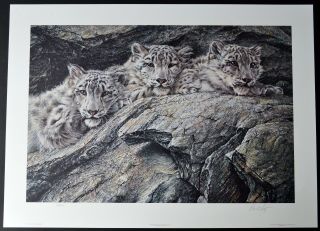 Alan Hunt " Treasures Of Asia - Snow Leopards " Paper Print 20 X 30 S&no 704/1950