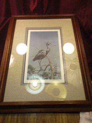 Robert Bateman Framed Signed/numbered 435/950 " Little Blue Heron " - 20 X 27 - F/ship