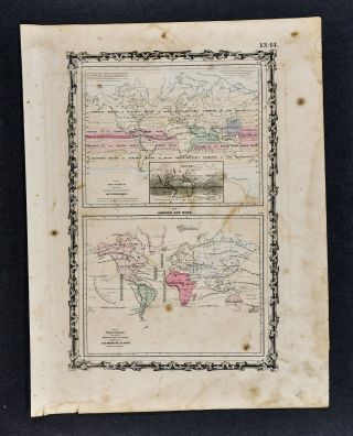 1862 Johnson World Map Meteorology Climate Rain Weather & Botanical Zones Plants