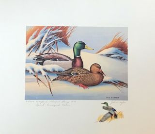 1974 Maryland First Of State Duck Stamp Print Special Remarqued Edition 64/200