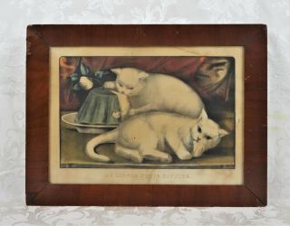 Rare Antique 19th C Currier And Ives Lithograph Kittens My Little White Kitties