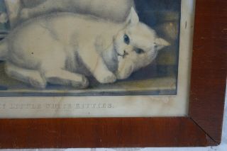 Rare Antique 19th C Currier and Ives Lithograph Kittens My Little White Kitties 2