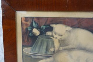 Rare Antique 19th C Currier and Ives Lithograph Kittens My Little White Kitties 5