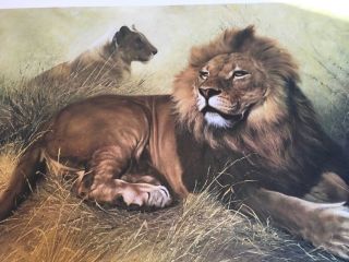 Charles Frace (the Lions) Autographed Lithograph Print Frame House Gallery