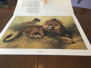 Charles Frace (The Lions) autographed lithograph print Frame House Gallery 2