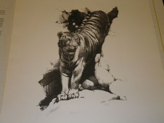 Dusk Tiger,  By Guy Coheleach Signed Numbered Regency House - 15 " X 18 "