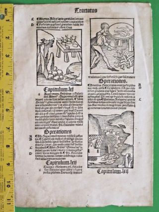 Incunabula,  Hortus,  Garden Of Health,  5 Wdcts,  Mining&using Precious Stones,  C.  1497