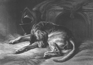 Sleeping Pet English Bloodhound Hunting Dog 1871 Landseer Art Print Engraving