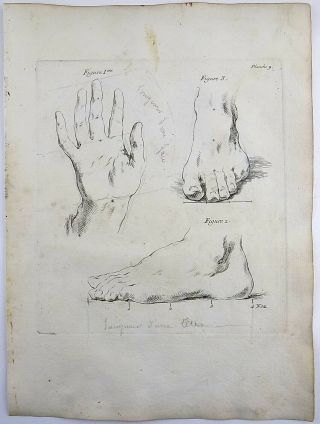 Charles - Nicolas Cochin (1715 - 1790) - Human Art Study - copper engraving - 1755 2