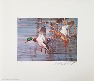 1983 North Carolina Duck Stamp Print S/n Limited Edition W/ Folder 4599