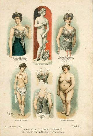 C1900 Women Body Shape Figures Nude Antique Chromolithograph Print A.  Fischer