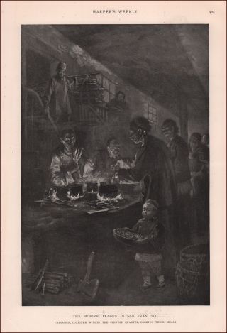 San Francisco,  Bubonic Plague In Chinese Quarter,  Cooking,  Antique Print 1900