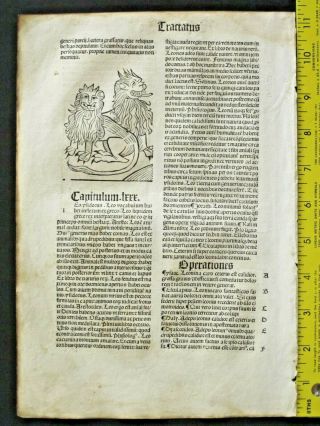 Incunabula,  Hortus,  Garden Of Health,  3 Woodcuts,  Lions,  Lizards,  Cattle,  Ca,  1497