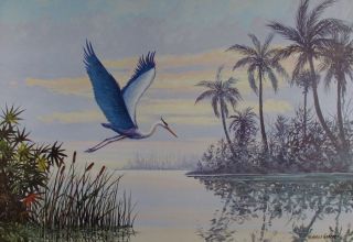 Large Vintage Great Blue Heron Art Print Florida Scene Everglades Harold Hancock