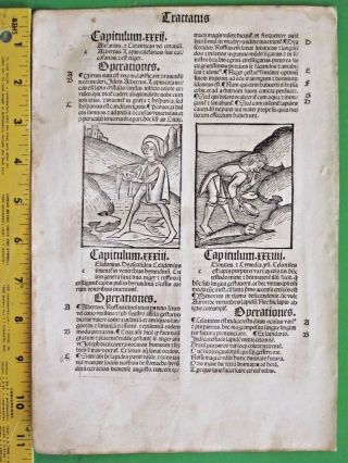 Incunabula,  Hortus,  Garden Of Health,  5 Woodcuts,  Mining Precious Stones,  C.  1497