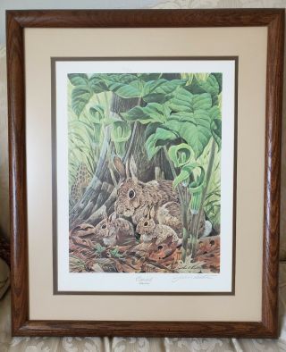 John A.  Ruthven Lithograph " Cottontails " Framed Signed And Numbered