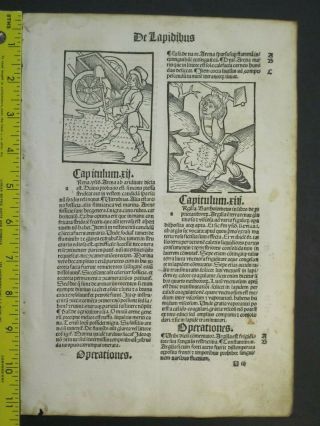 Incunabula,  Hortus,  Garden Of Health,  4 Woodcuts,  De Lapidibus,  Worker&cart,  C.  1497