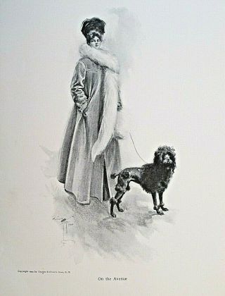 Harrison Fisher,  Pretty Lady,  On The Avenue,  Poodle,  Vintage 1907 Antique Print