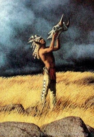 Bev Doolittle Art OOP $65 HB Gift DESK Book Western Native Americans Indians 5