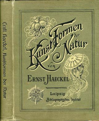 1904 Ernst Haeckel Book Binding,  End Paper,  Kunstformen Der Natur