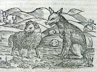 1554 Mattioli Folio - 2 Woodcuts First Edition - Wolf Bear Sheep Dog Goat