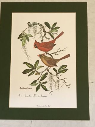 Vtg Anne Worsham Richardson Signed Print Cardinal With Live Oak 1974