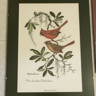 VTG ANNE WORSHAM RICHARDSON SIGNED PRINT CARDINAL WITH LIVE OAK 1974 2