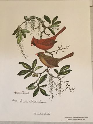 VTG ANNE WORSHAM RICHARDSON SIGNED PRINT CARDINAL WITH LIVE OAK 1974 3