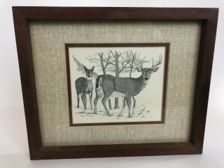 Vintage 1978 Art Print Deer Fawn Woods Signed On Back Framed 9” X 11”